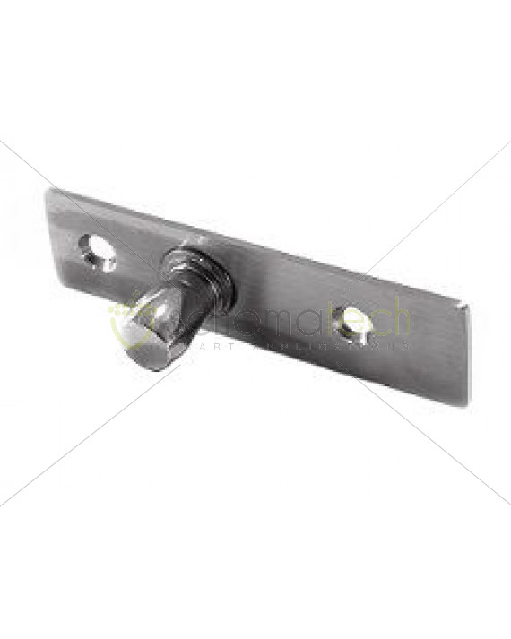 Ceiling Mount Top Pivot  Pin