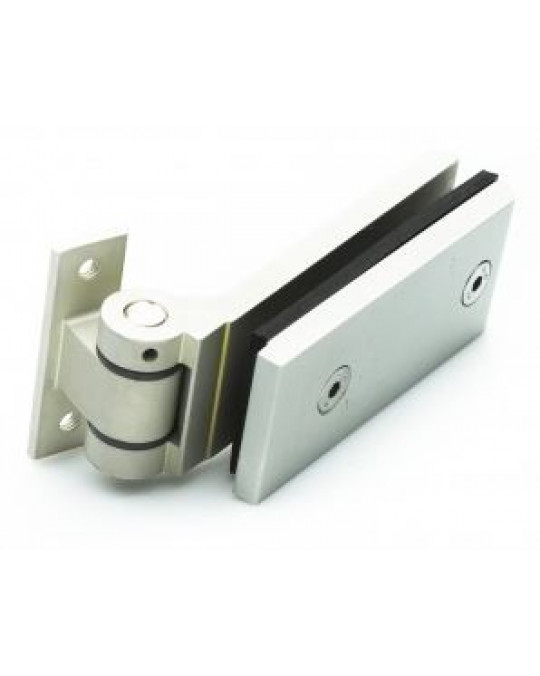 Clearview Pivot Hinge