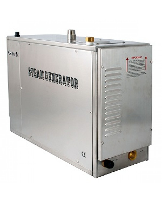 Steam generator 18KW